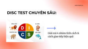 DISC test chuyên sâu: Giải mã 4 nhóm tính cách & cách giao tiếp hiệu quả (kèm test miễn phí)